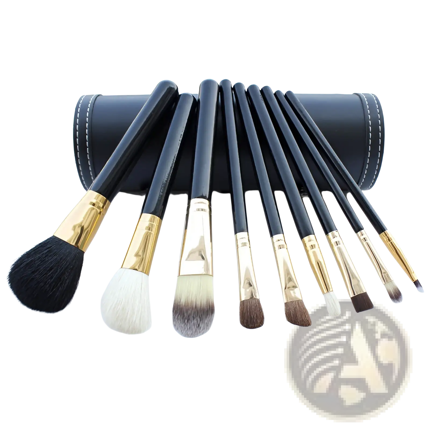 Makeup Brush Set 10 Piece Gold and Black with Case