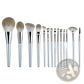 Makeup Brush Set with 15 Silver Pieces and Case