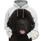 Men's 3d Dog Portrait Graphic Pullover Hoodie
