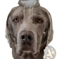 Men's 3d Dog Portrait Graphic Pullover Hoodie