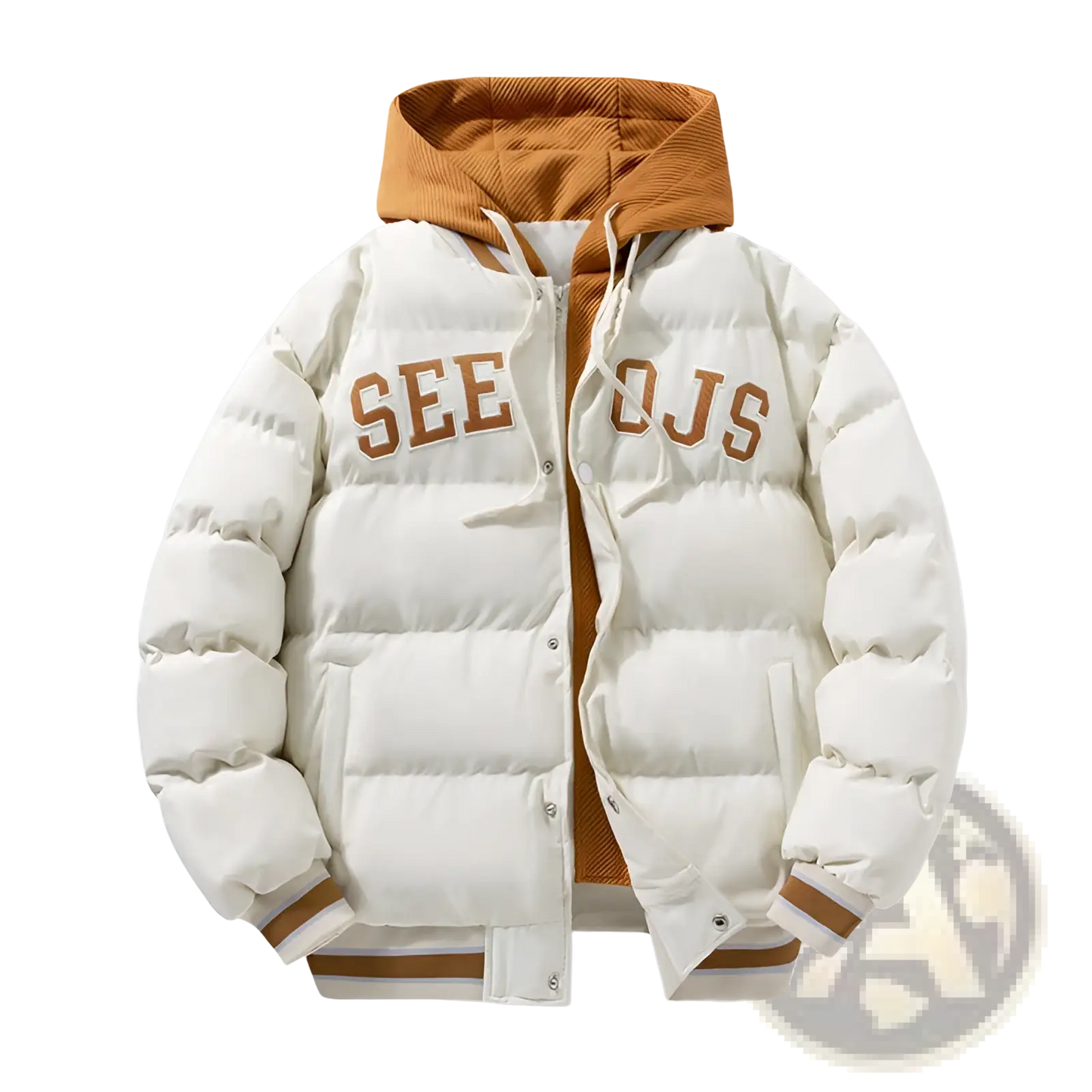 Men's Letter Print Hooded Puffer Jacket