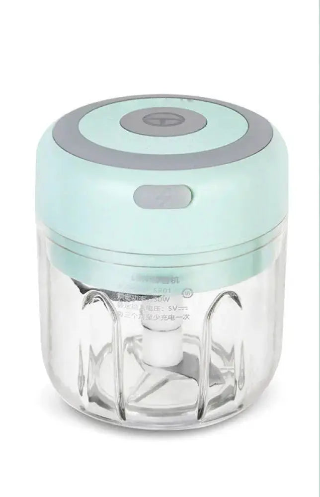 Usb Electric Mini Food Chopper and Garlic Mincer