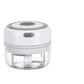 Usb Electric Mini Food Chopper and Garlic Mincer