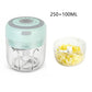 Usb Electric Mini Food Chopper and Garlic Mincer