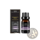 Organic Essential Oils Set 10ml Aromatherapy Gift Kit