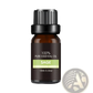 Organic Essential Oils Set 10ml Aromatherapy Gift Kit