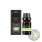 Organic Essential Oils Set 10ml Aromatherapy Gift Kit
