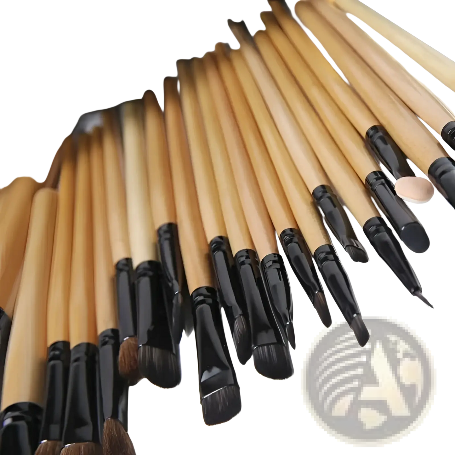 Professional 24 Piece Wooden Makeup Brush Set with Case