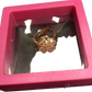 Rotating Zircon Four Leaf Clover Adjustable Gold Ring