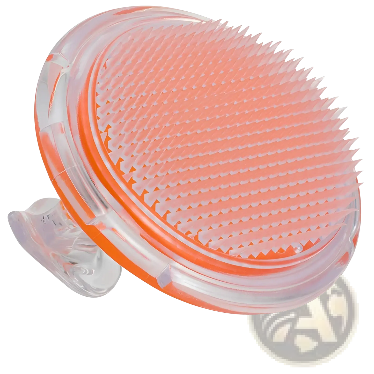 Scalp Massage Brush Exfoliating Hair Meridian Comb
