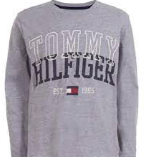 Tommy Hilfiger Big Boy's Tony Logo T-Shirt Blue Size L (16-18)