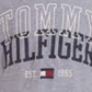 Tommy Hilfiger Big Boy's Tony Logo T-Shirt Blue Size L (16-18)