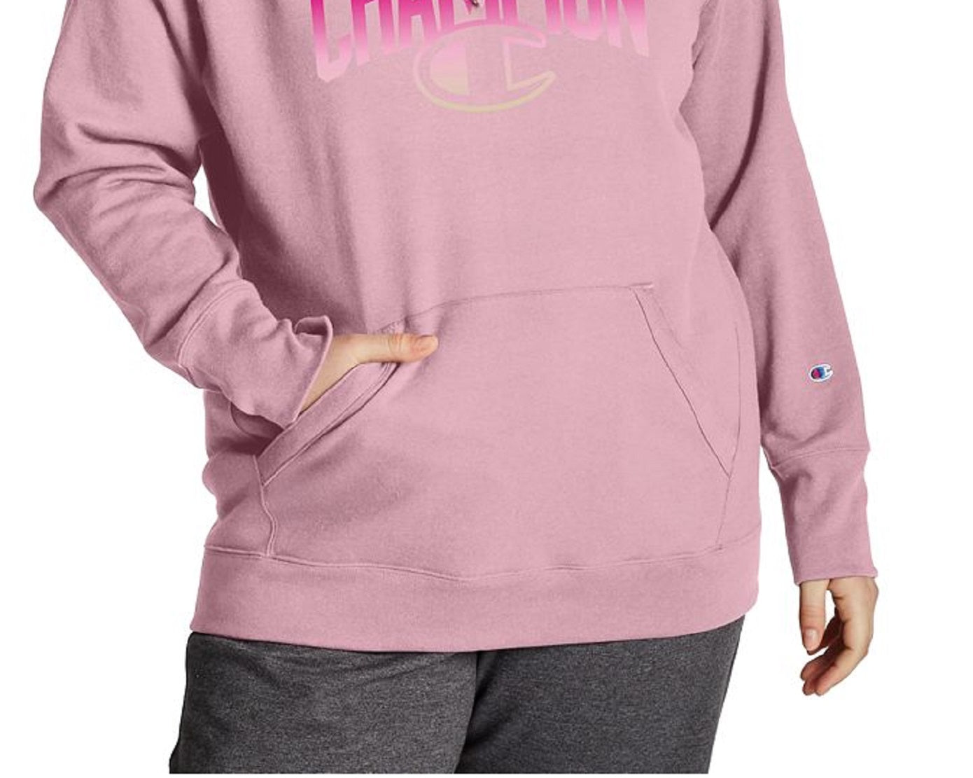 Champion Women's Powerblend Graphic Hoodie Purple Size 1X