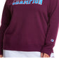 Champion Women's Logo Print Sweatshirt Purple Size 3X