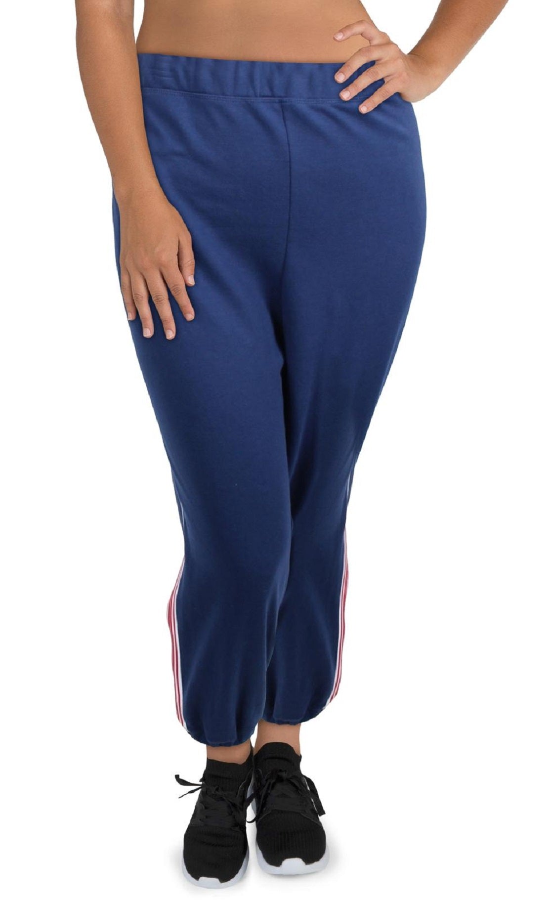 Tommy Hilfiger Women's Boyfriend Pants Blue Size 2X