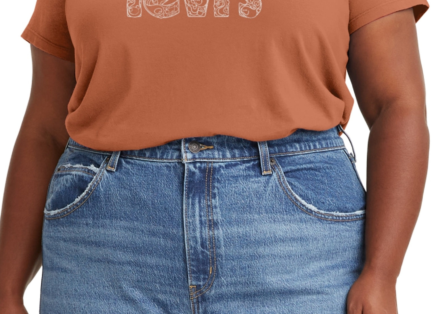 Levi's Women's Logo Perfect T-Shirt Brown Size 4X