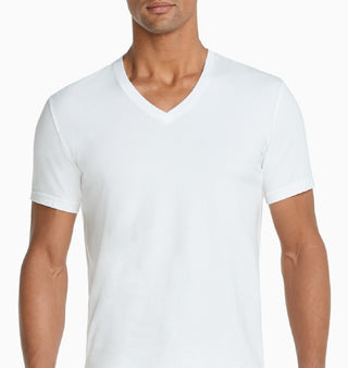 Nike Men's Everyday Stretch V Neck 2 Pack T-Shirts White Size Small