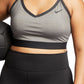 Nike Women's Indy Sports Bra Gray Size 3X