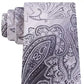 Van Heusen Mens The Ferreira Paisley Office Neck Tie Black Size Gray