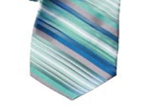 Van Heusen Men's Silk Professional Neck Tie Blue Size Regular