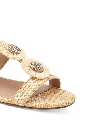 Charter Club Women's Zoeyy Open Toe Casual Ankle Strap Sandals Brown Size 10 M