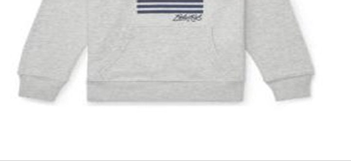 Ralph Lauren Little Boy's Embroidered Terry Cotton Hoodie Gray Size 5