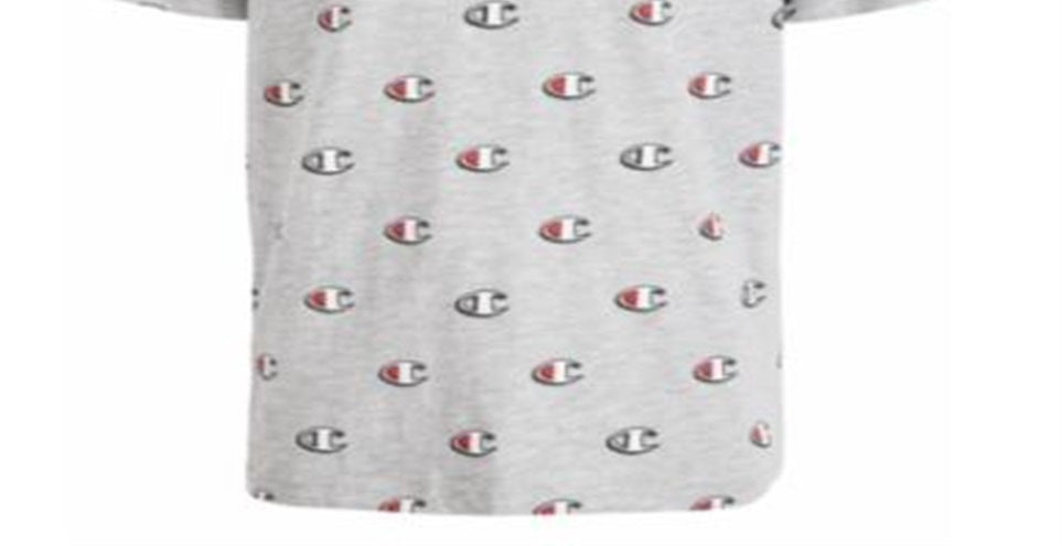 Champion Little Boy's Printed T-Shirt Gray Size 4