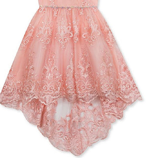 Rare Editions Big Girl's Lace Illusion Dress Pink Size 14
