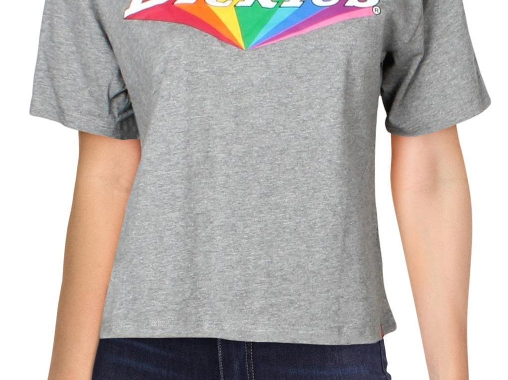 Dickies Women's Tomboy Cotton Rainbow Logo T-Shirt Gray Size XS