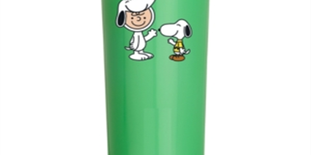 Peanuts Collection Snoopy & Charlie Brown 16-Oz. Green Stainless Steel Canteen One Size