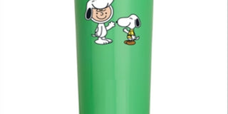Peanuts Collection Snoopy & Charlie Brown 16-Oz. Green Stainless Steel Canteen One Size
