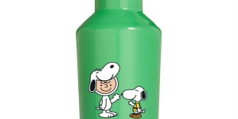 Peanuts Collection Snoopy & Charlie Brown 16-Oz. Green Stainless Steel Canteen One Size