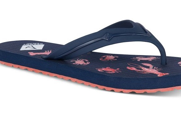Sperry Women's Warf Thong Slip on Flip Flops Blue Size 11 M