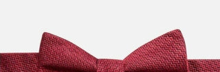 Ryan Seacrest Distinction Men's PT Kent Unsolid Solid Silk Chevron Bow Tie Red Size Regular