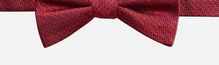 Ryan Seacrest Distinction Men's PT Kent Unsolid Solid Silk Chevron Bow Tie Red Size Regular