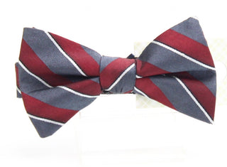 Ryan Seacrest Distinction Men's Matera Silk Plaid Bow Tie Red Size Regular