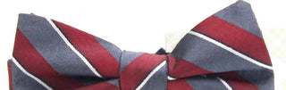 Ryan Seacrest Distinction Men's Matera Silk Plaid Bow Tie Red Size Regular