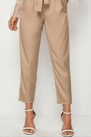 Maison Jules Women's Pleated Front Cropped Paperbag Pants Brown Size XX-Large