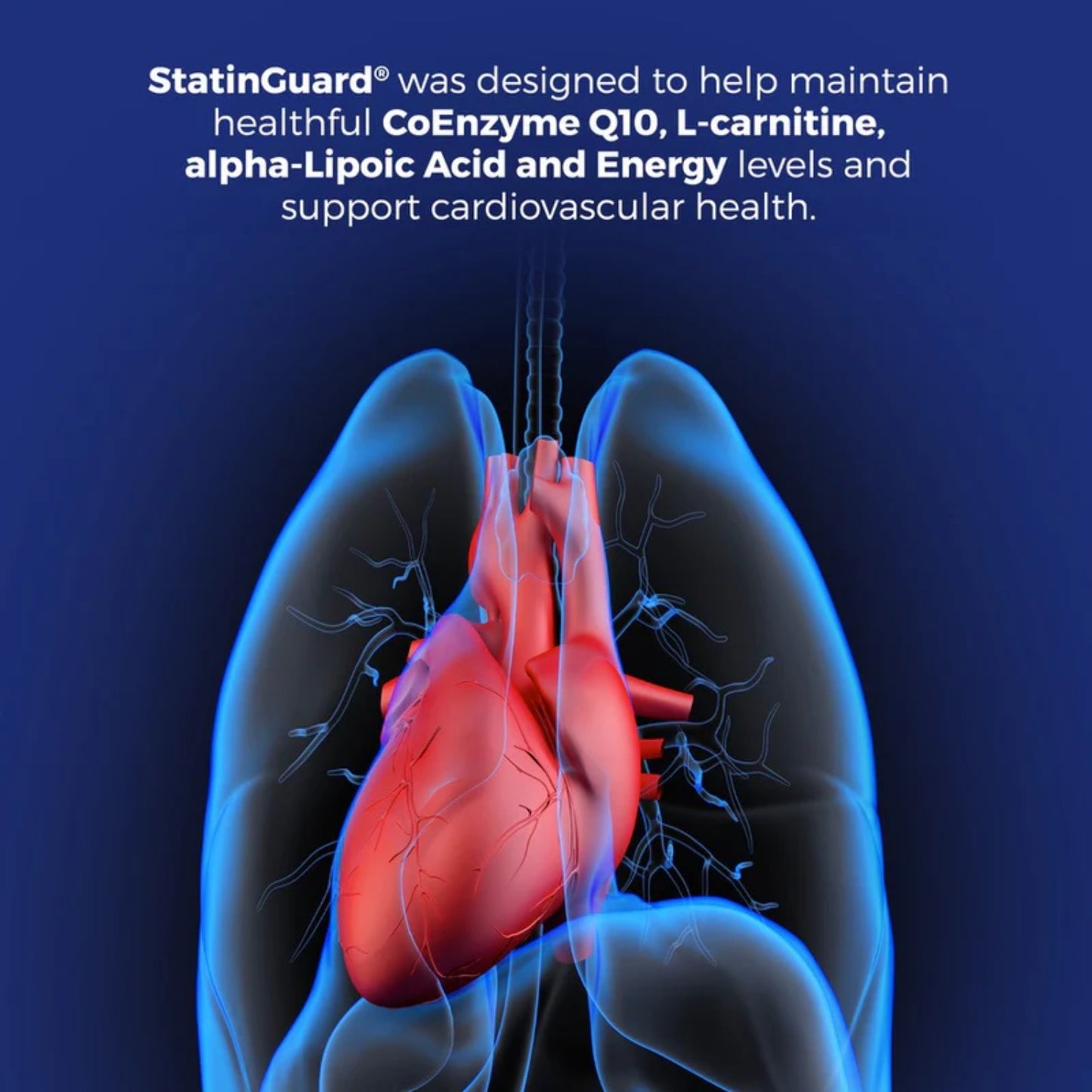 Vital Remedy MD StatinGuard - 90 tablets