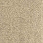 Karen Scott Women's Cotton Turtleneck Sweater Brown Size Petite Small