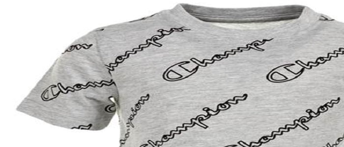 Champion Little Boy's Allover Open Script T-Shirt Gray Size 5