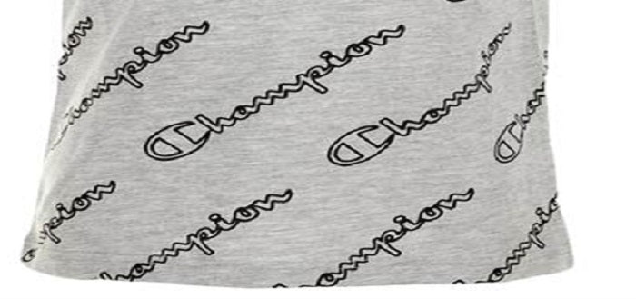 Champion Little Boy's Allover Open Script T-Shirt Gray Size 5