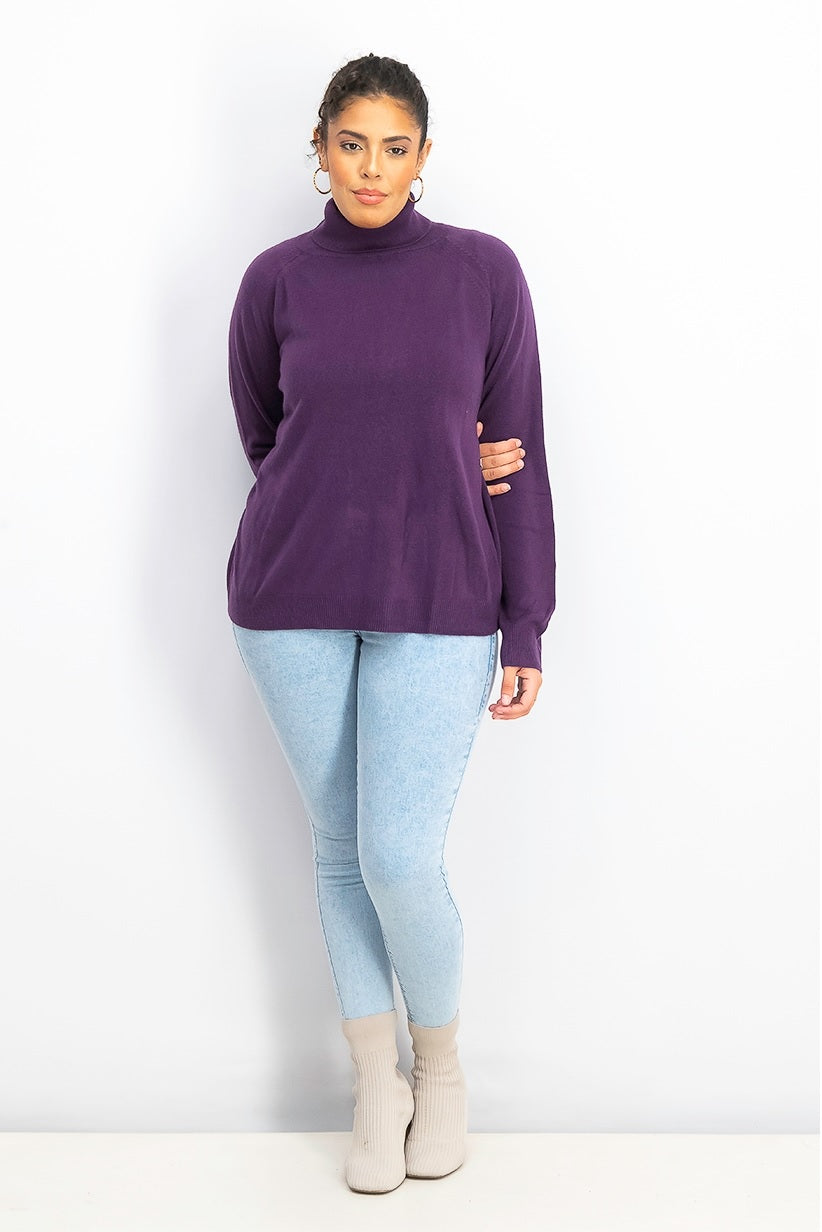 Karen Scott Women's Luxsoft Turtleneck Sweater Purple Size Pettite Large