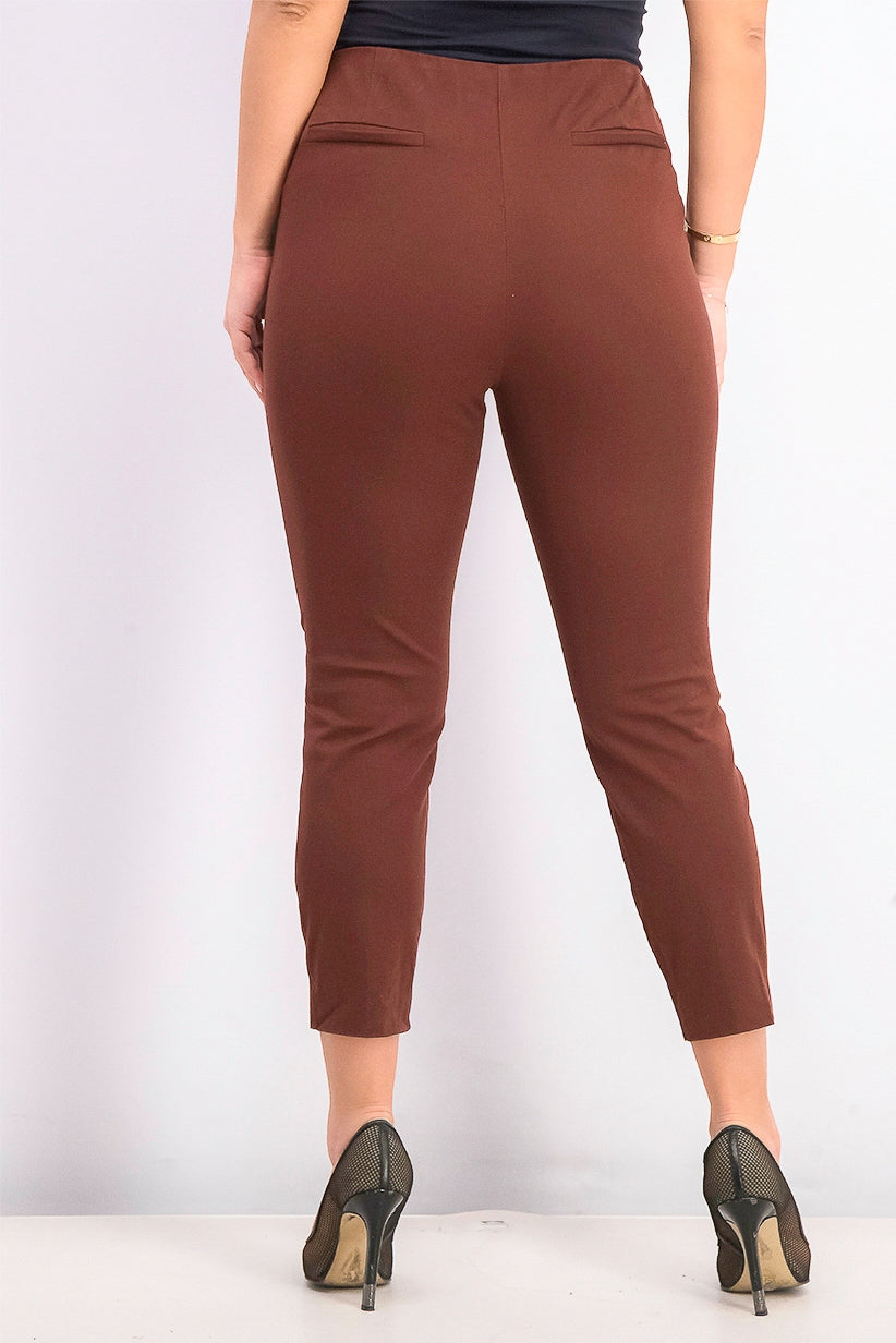 Alfani Women's Petite Hollywood-Waist Skinny Ankle Pants Dark Brown Size 10 P