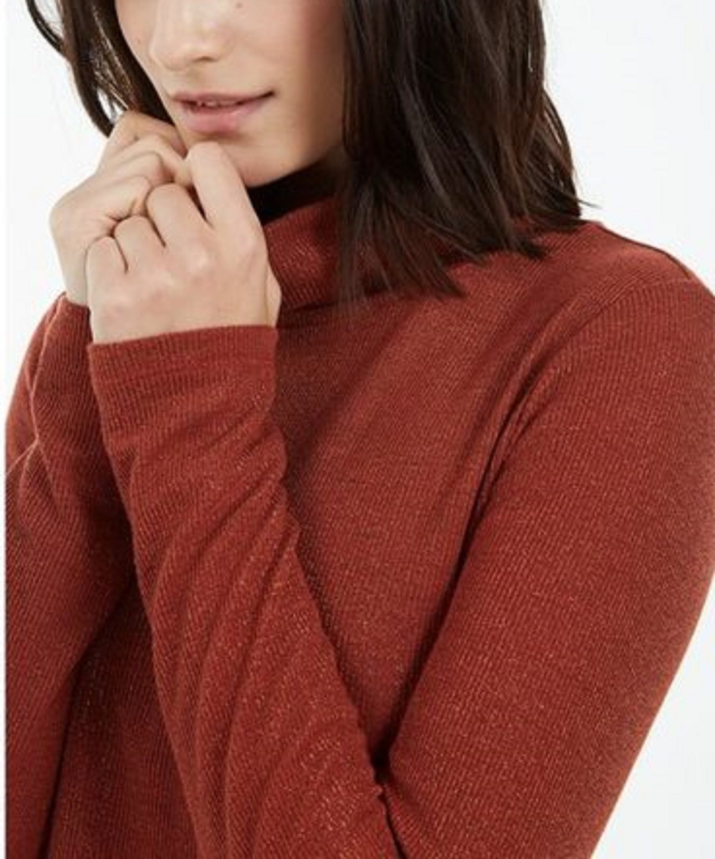 INC International Concepts Women's Shimmer Turtleneck Red Size Extra Large
