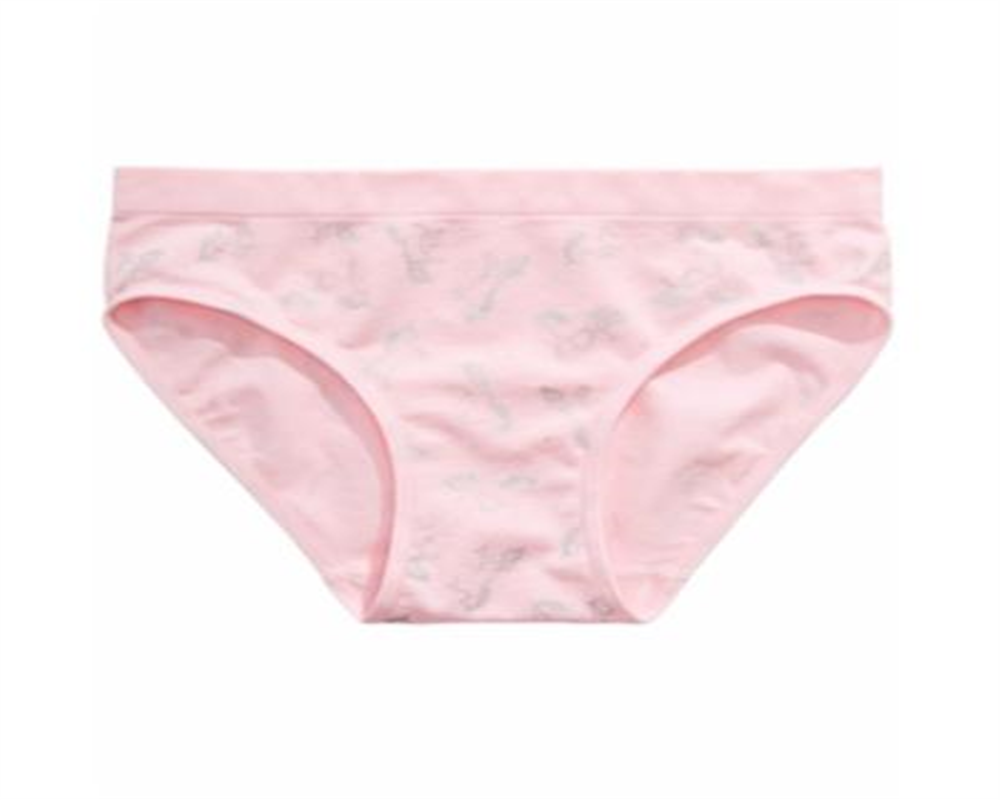 Maidenform Little & Big Girl's Unicorn Print Seamless Hipster Underwear Pink Size Small