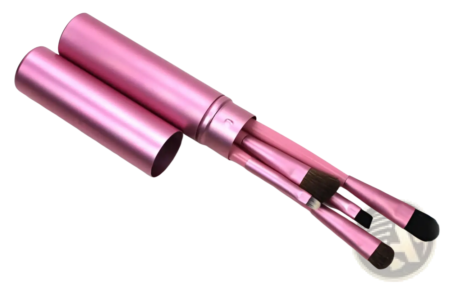 Travel Eye Makeup Brush Set with Portable Case