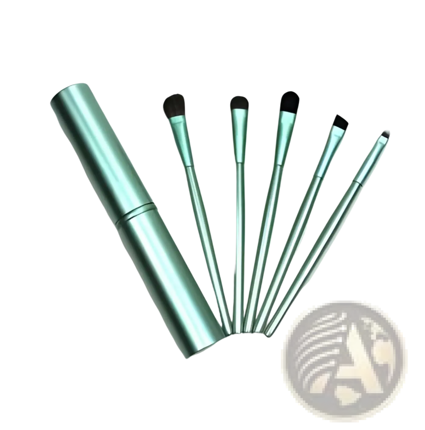 Travel Eye Makeup Brush Set with Portable Case