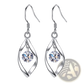 Twisted Teardrop Silver Earrings with Faceted Crystal Crystal