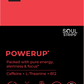 Soul Strips PowerUp Vegan Sugar Free Strawberry Flavor 30 Strips
